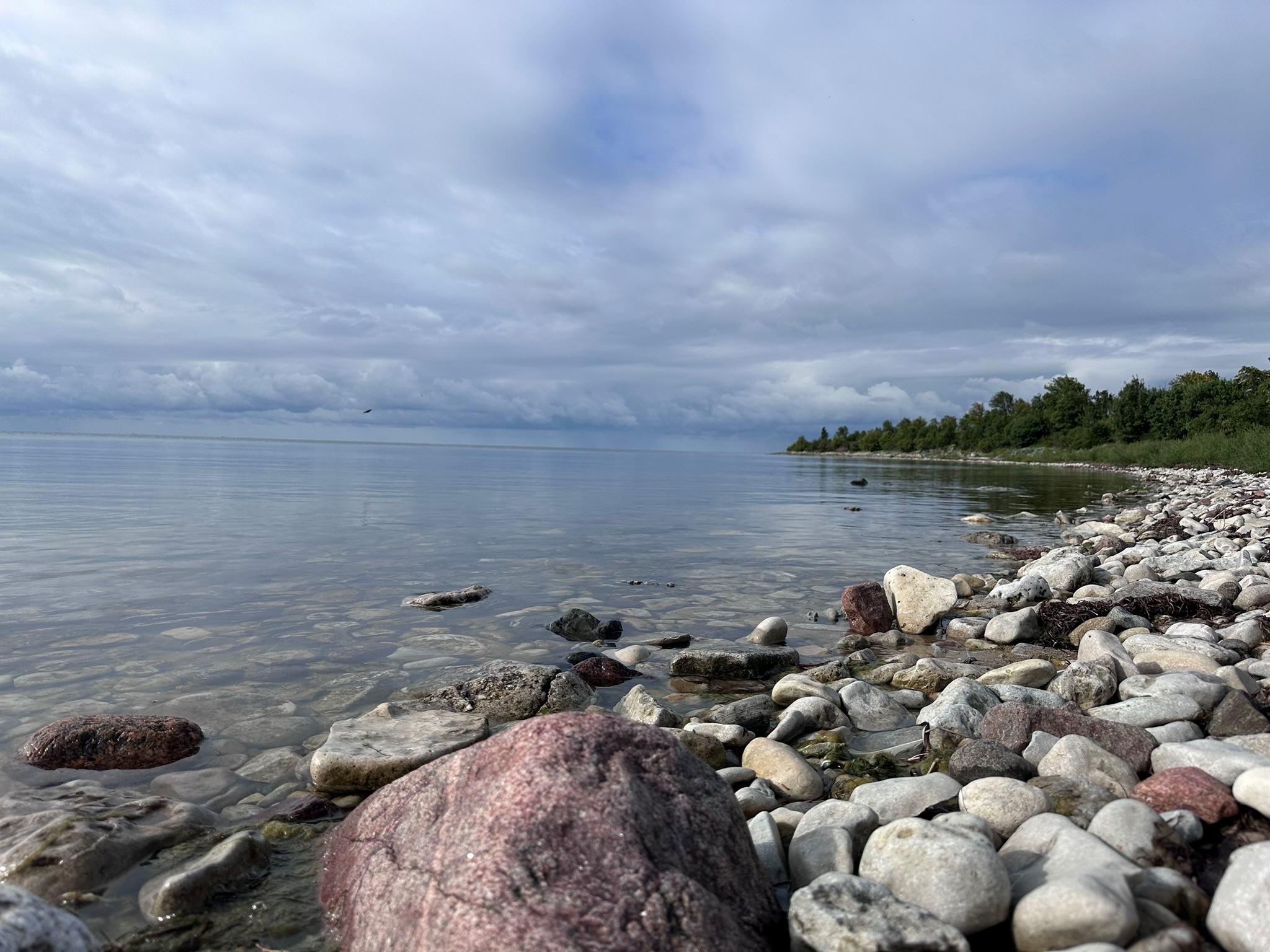 Sääretirp Hiiumaal